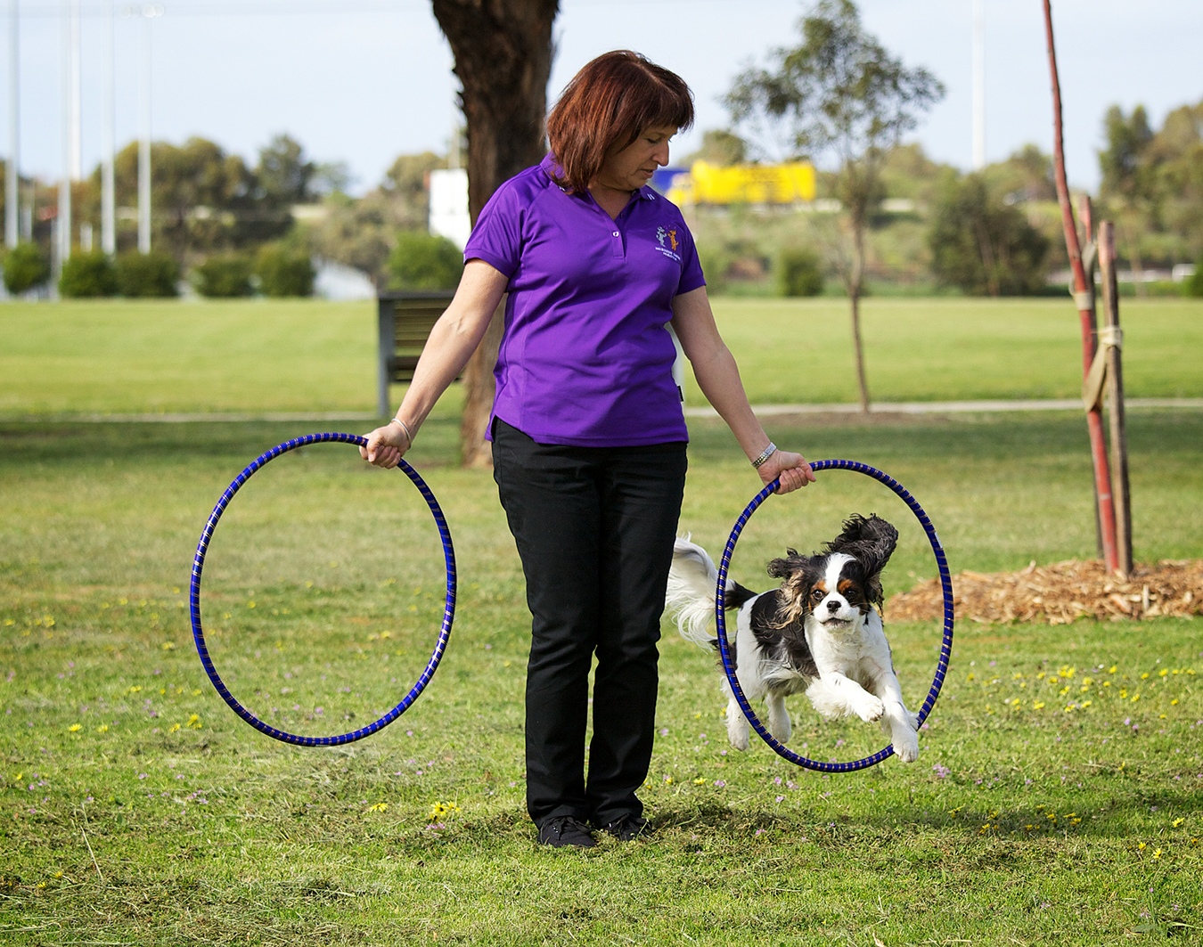 Canine Freestyle | thepetsrse.com