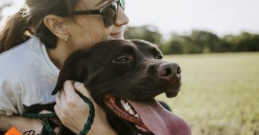 How to Find a Dog Sitter