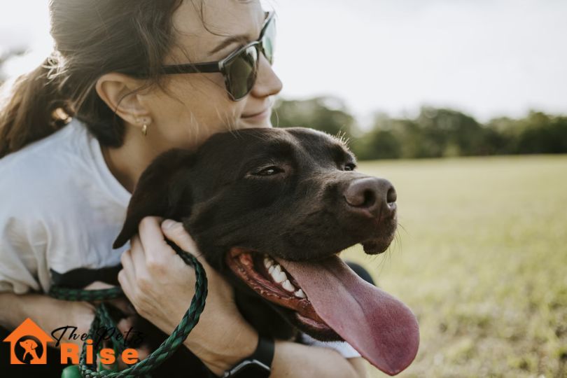 How to Find a Dog Sitter