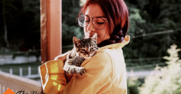 How to Find a Cat Sitter