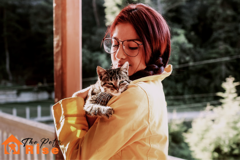 How to Find a Cat Sitter