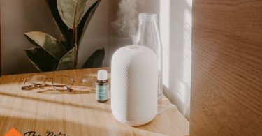 humidifier for birds