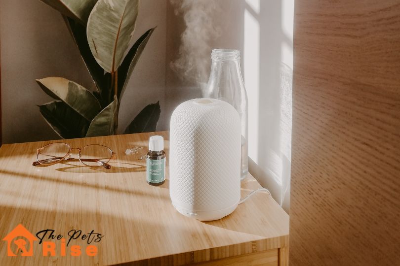 humidifier for birds
