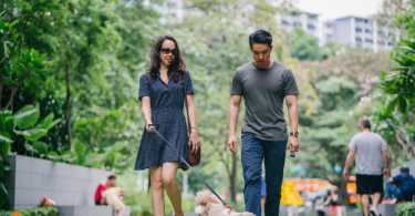 Dog Safety Tips for Dog Owners