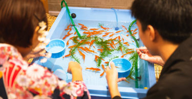 Choosing the Right Aquarium Fish Food