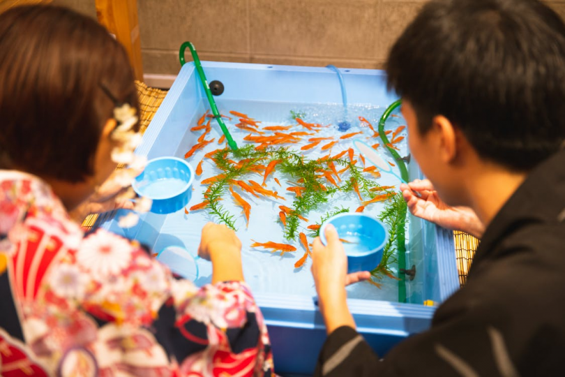 Choosing the Right Aquarium Fish Food