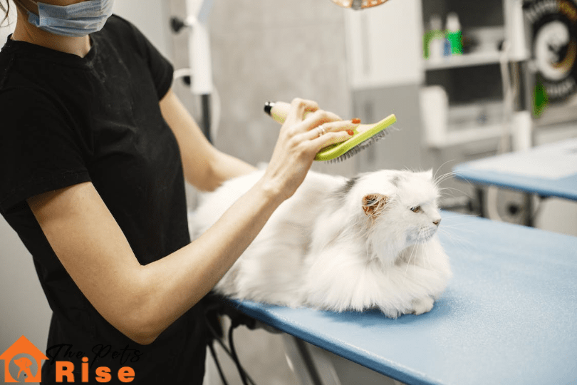 How to De Mat a Cat