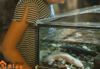 Saltwater Aquarium Mistakes