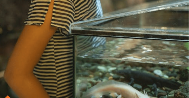 Saltwater Aquarium Mistakes