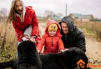Best Dogs Breeds For First Time Owners | thepetsrise.com