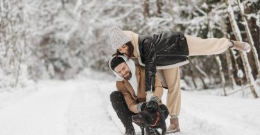 Things to know before getting a dog | thepetsrise.com