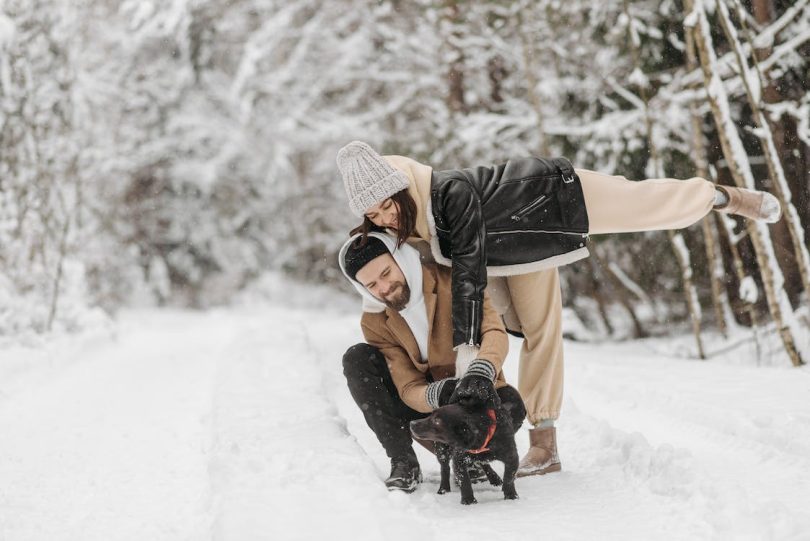 Things to know before getting a dog | thepetsrise.com