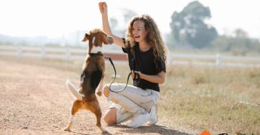 easy tricks to teach your dog | thepetsrise.com