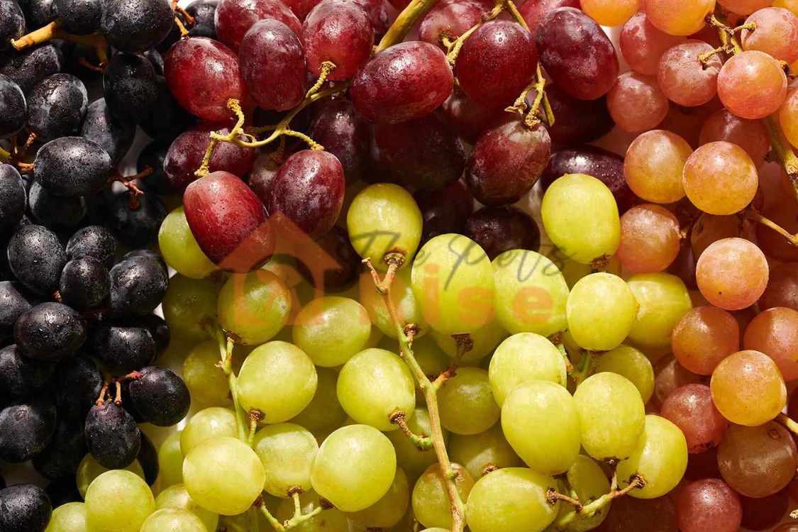 Grapes