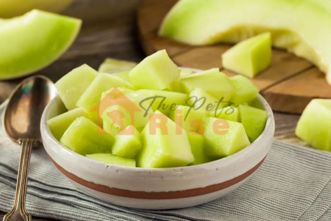 Honeydew