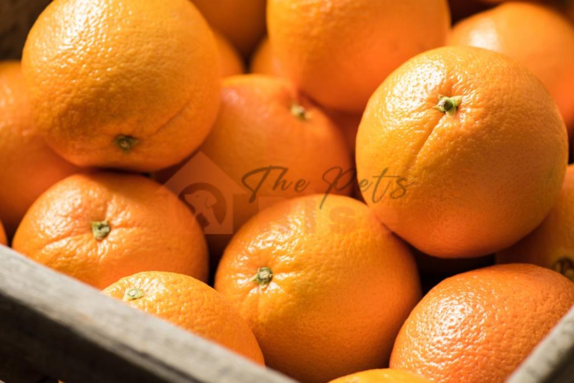 Oranges