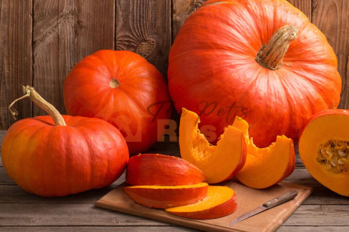 Pumpkin