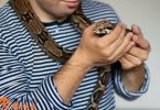 snakes as pets
