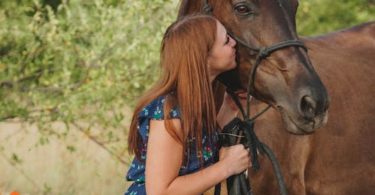 horse care tips