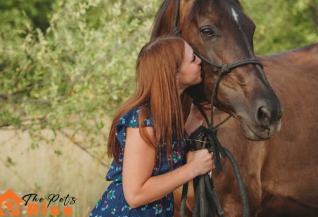horse care tips