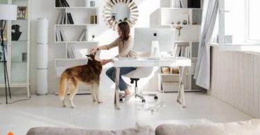 house clean with pets