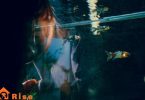saltwater tank algae